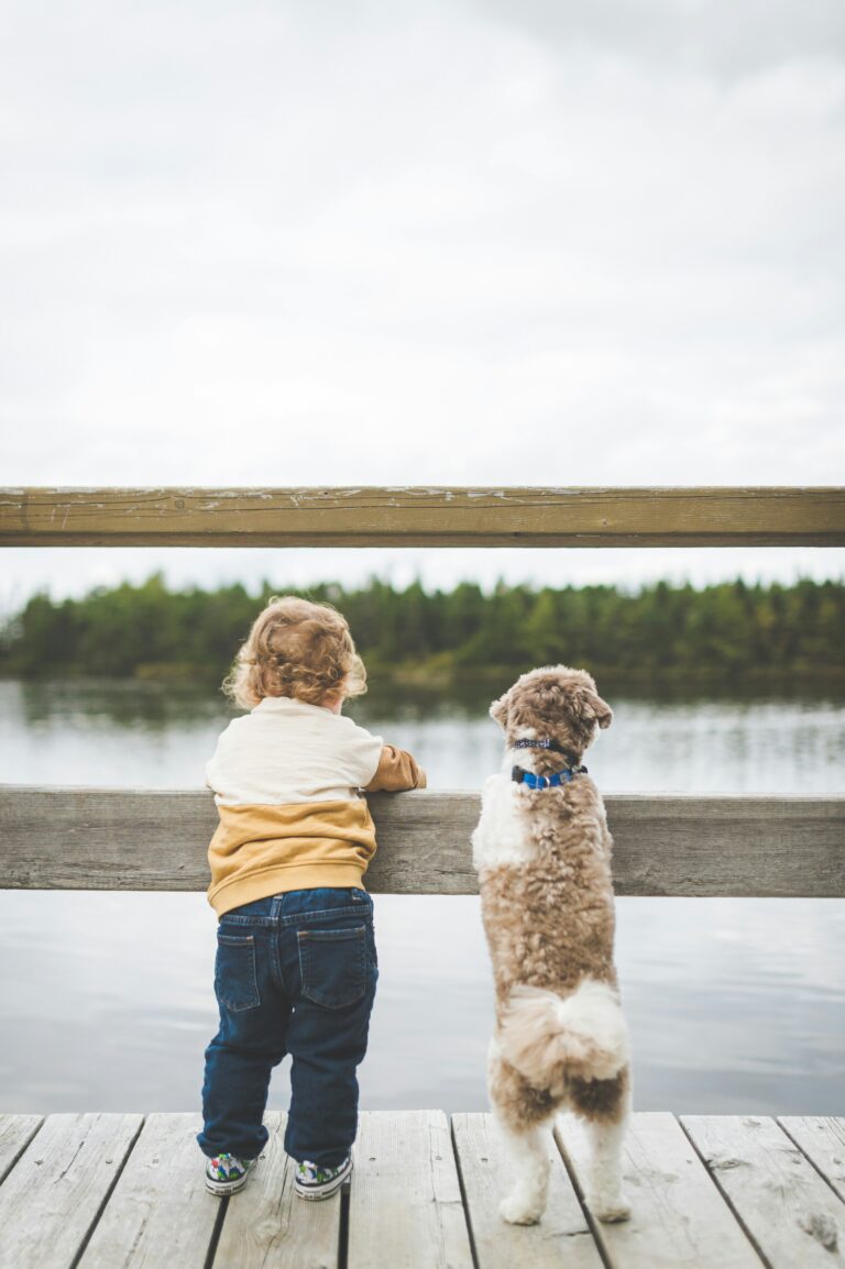 Kind mit Hund blickt auf den See vom Steg aus, Natur und Freundschaft.